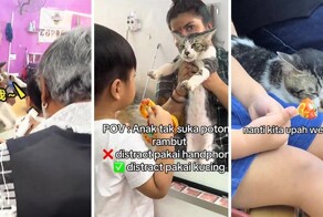 Кошка работает в парикмахерской, помогая мастеру стричь детей