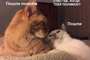 Шутки бывают разные