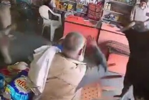 Быки подрались в магазине Индии