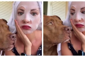 Собака решила присоединиться к процедурам хозяйки