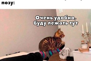 Скрины из соцсетей            