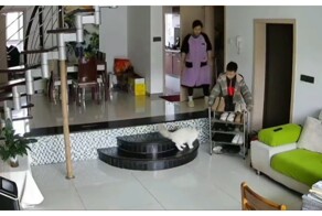 Дерзкий кот атаковал мальчика