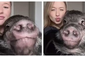 Девушка завела себе кабана