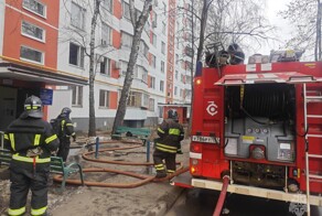 Столичные пожарные откачали надышавшегося дымом котика