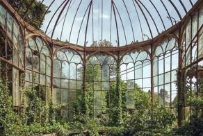 17 раз, когда природа восстановила свои права