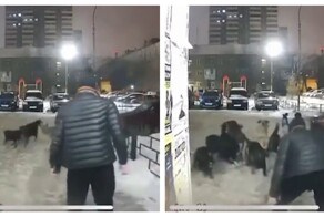 Нападение собак на мужчину у подъезда