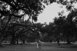 Древо жизни и его история