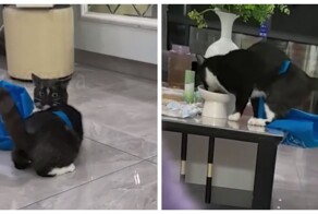 Никто не должен знать твой следующий шаг. Даже ты сам