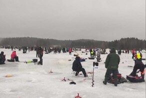 В Карелии из местного рыбоводного хозяйства «сбежали» 44 тонны форели и устроили переполох среди рыбаков