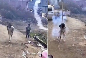 Петарда догнала девушку