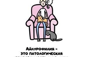 А вдруг ты не знал…