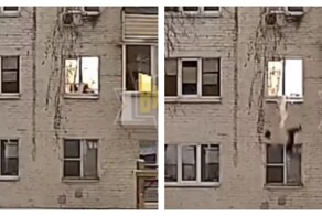 Неадекватный уфимец эффектно вышел на прогулку