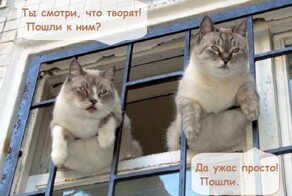 Шутки бывают разные