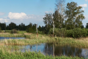Вспомним лето (панорама)