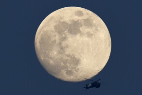 На общую тему 