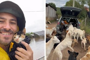 Герой без плаща: мужчина 25 лет кормит бездомных собак