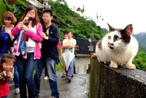 Кошачья деревня Хоутун