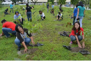 Пока не посадишь дерево, ты не человек – школьный закон Филиппин