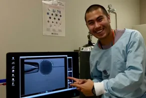 В Австралии впервые получили эмбрионы кенгуру с помощью ЭКО