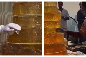 Праздничный торт-желе для взрослых