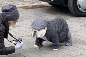 Намешалось 