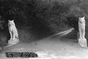 Гордые и опасные кошки-стражи у входа в обитель художников