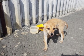 Счастливы вместе: 26 примеров взаимного обретённого счастья