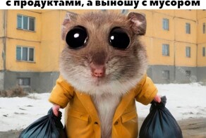 Не ищите здесь смысл. Здесь в основном маразм