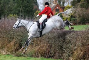 На общую тему&nbsp;