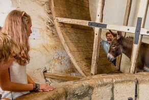 Ослиное колесо в замке Карисбрук