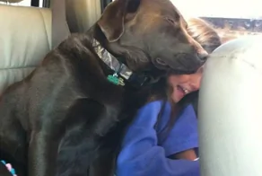 25 пёселей, которые не в курсе существования личного пространства