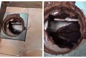 Мужчина заметил крупную змею в доме