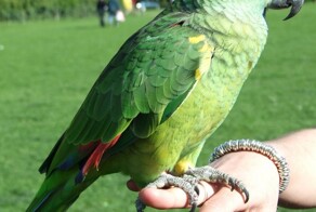 На общую тему 