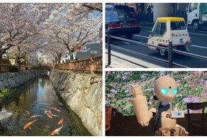 «Тем временем в Японии": 35 азиатских диковинок