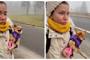 Девушка рассказала, что грозит владельцам громких собак в Германии