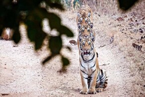 На общую тему&nbsp;