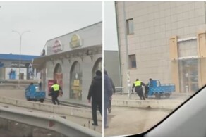 Погоня за муравьём