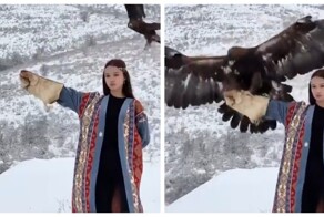 Девушка не удержала беркута на руке