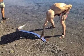 На Канарских островах спасли сельдяного короля