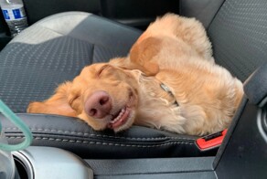 Всё вразнобой 