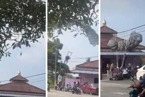 Десантник врезался в женщину на мотоцикле