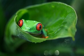 Всё вразнобой&nbsp;