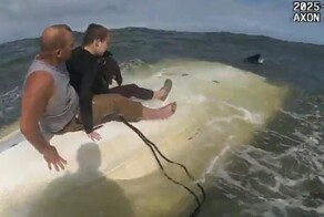 Два человека и пёс потерпели кораблекрушение возле побережья Флориды