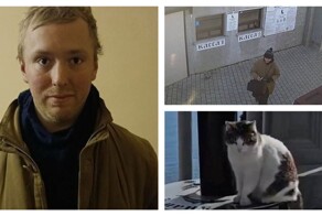 Мужчина, сбросивший кошку Мусю со смотровой площадки, объяснил свой поступок