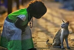 17 трогательных фотографий животных, которые украсят день