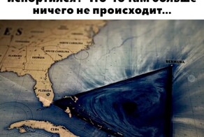 Скрины из соцсетей            