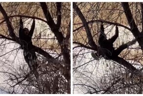 Уфимец взбодрил жителей нескольких домов