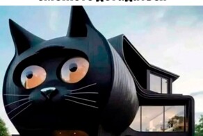 Скрины из соцсетей            