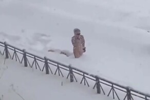 Как на Сахалине выгуливают собак