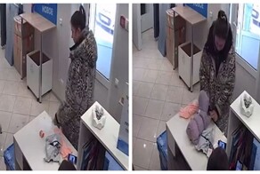 «Эмоции вымещает на беспомощное существо!»: хозяйка маленькой собаки адски трясла её и таскала за шиворот